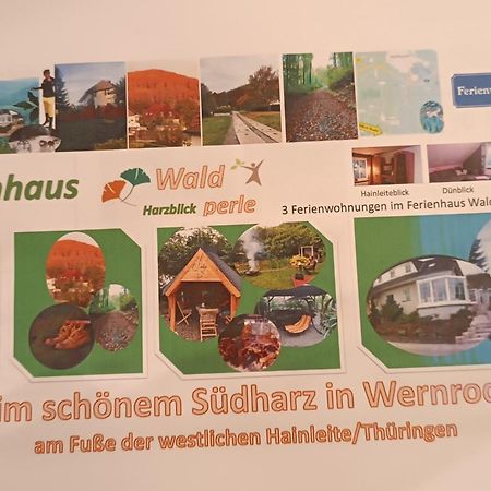 Ferienhaus Waldperle Harzblick Wernrode Экстерьер фото