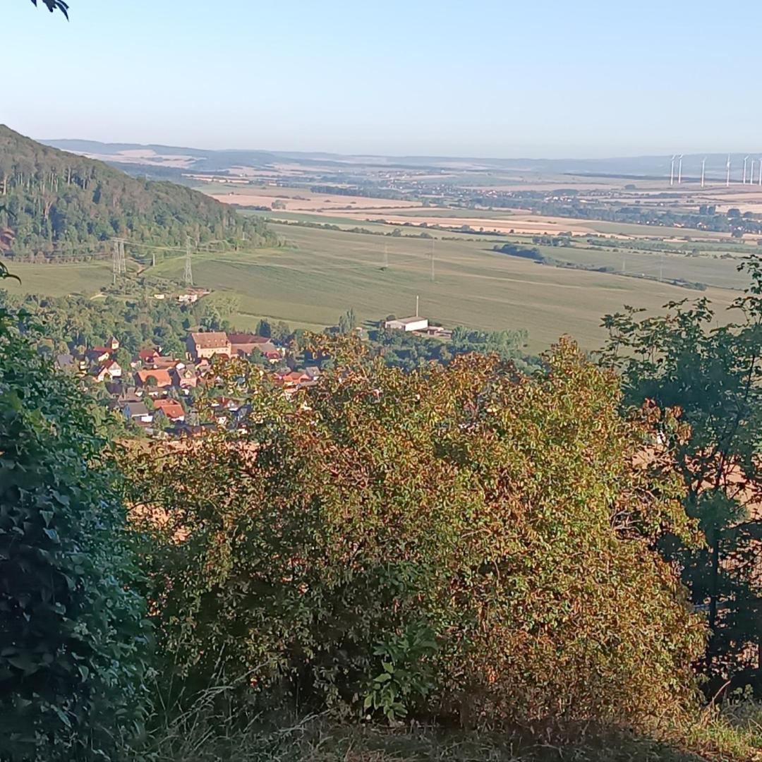 Ferienhaus Waldperle Harzblick Wernrode Экстерьер фото